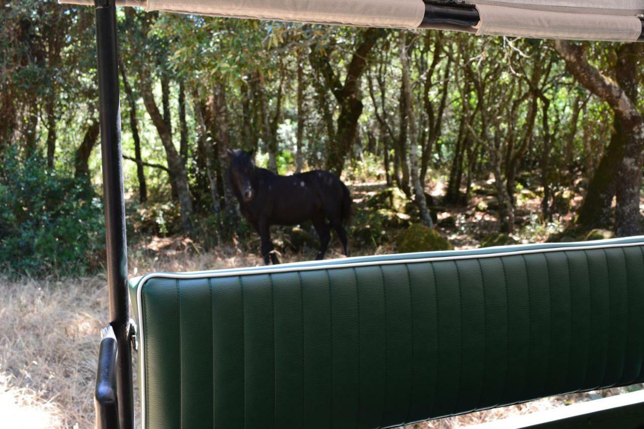 Séjour à la ferme Il Borgo Dell'arcangelo Barùmini