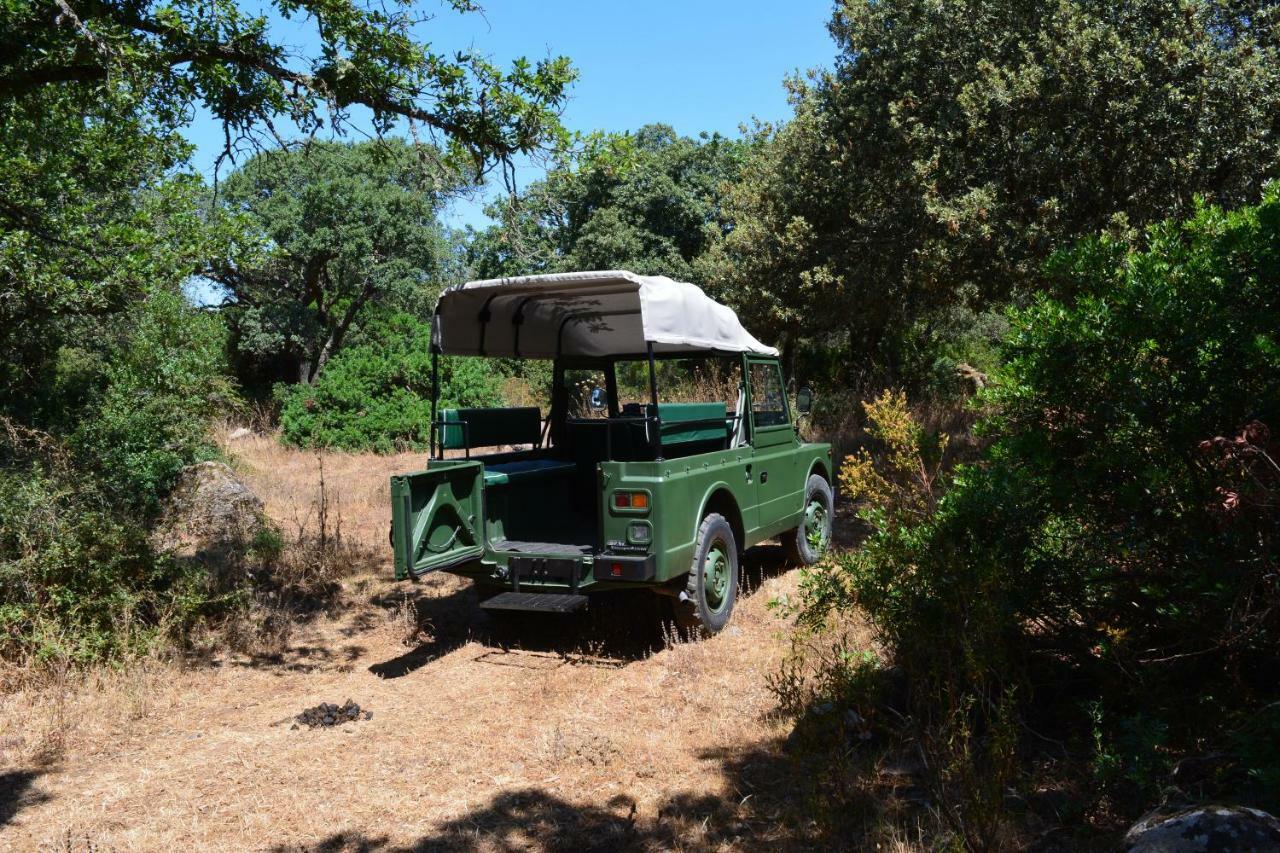 Agroturismo Il Borgo Dell'arcangelo Barùmini